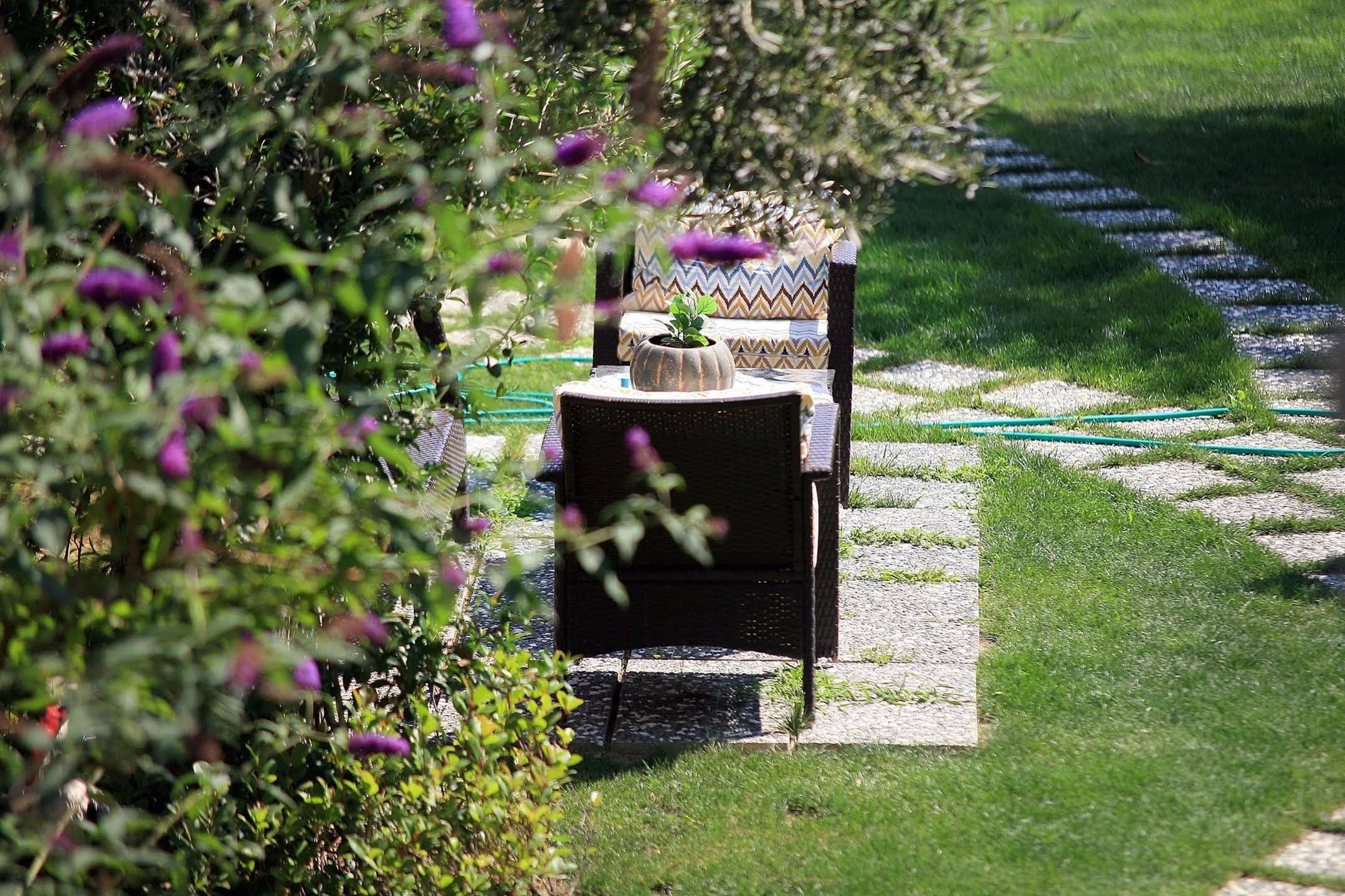 Niluefer Butik Otel (Adults Only) Ayvalı Exterior foto